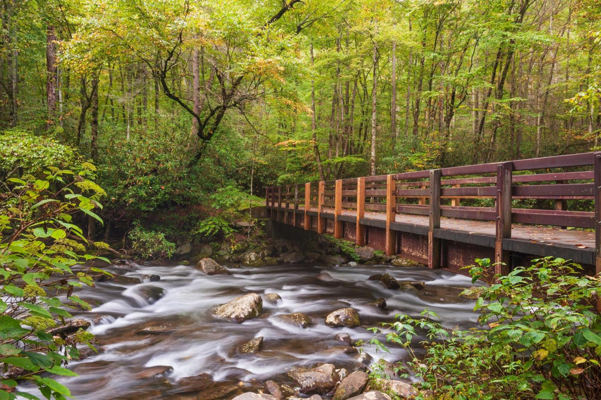 Heavenly Bear, Hot Tub, 1089 Of Free Attraction Tickets For Each Paid Day, Dollywood And More Sevierville Exterior foto